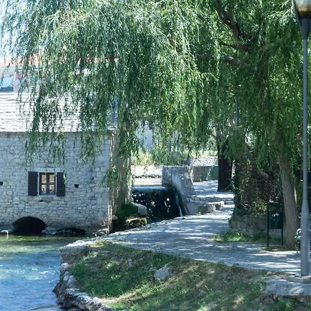 Maksim Maro 索林
